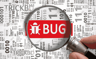 Bug Bounty Ethical Hacker Finding Security Vulnerabilities in Website and Application Systems